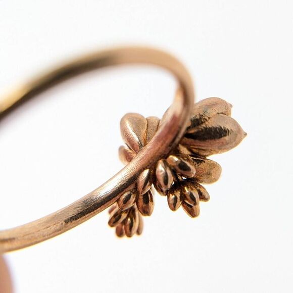 Botanical Cluster Ring in Natural Bronze size 7 by Collected Edition - Picture 7 of 15